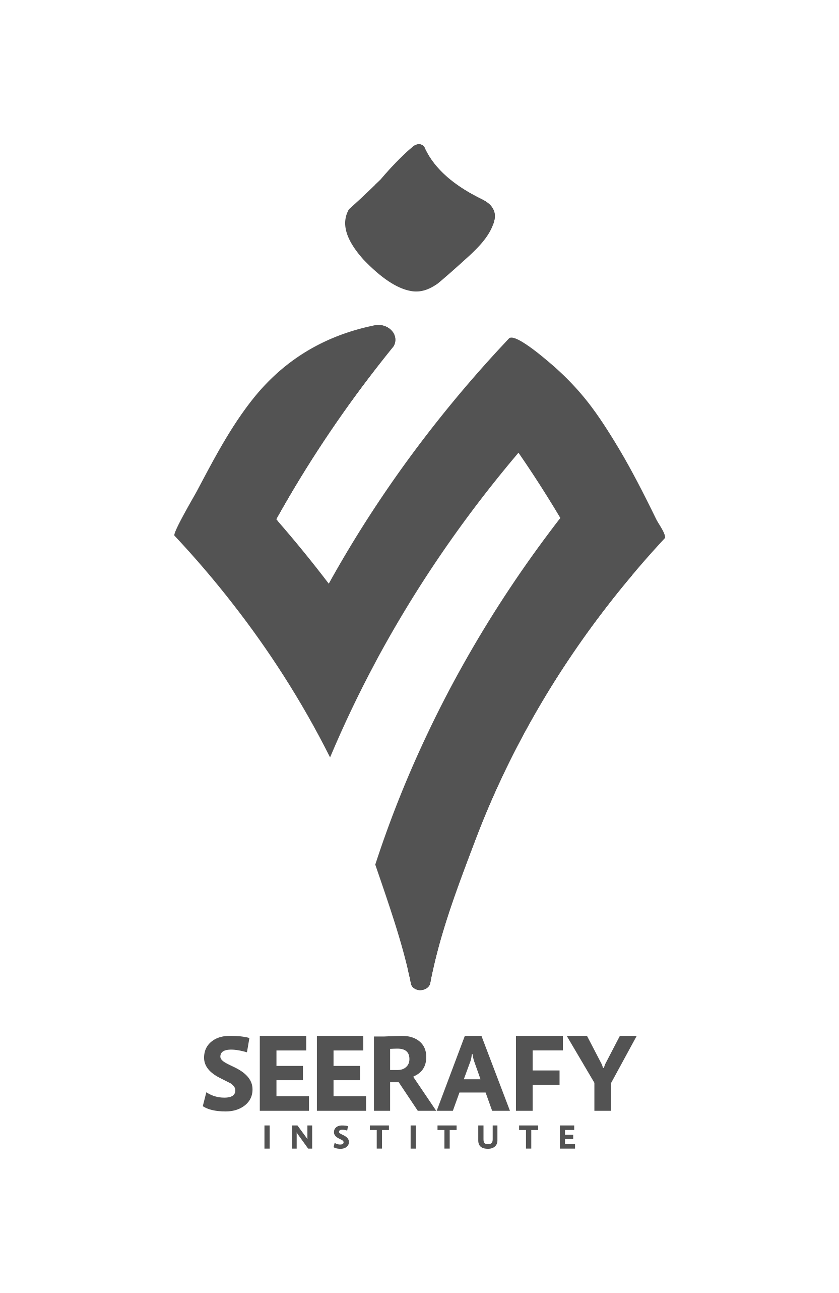 Seerafy Institute